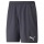 Puma TeamLIGA Multisport Shorts Dark Blue Men